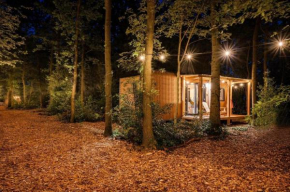 Forest Cabin in the woods